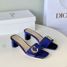 Christian Dior Slippers